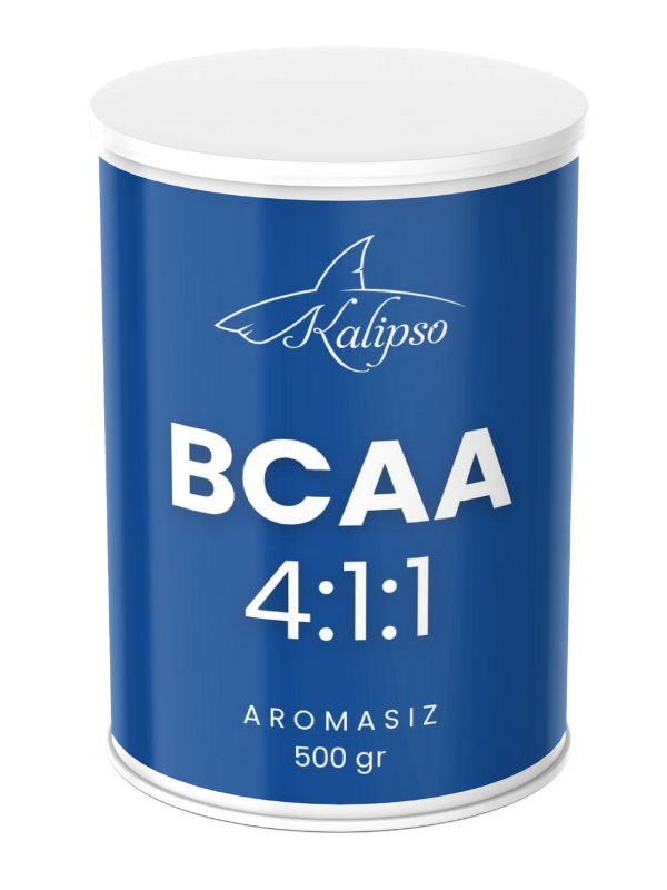Bcaa 4:1:1 500gr - 1