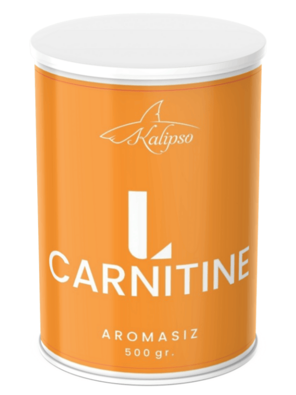 L-Carnitine - L-Karnitin 500gr - 1